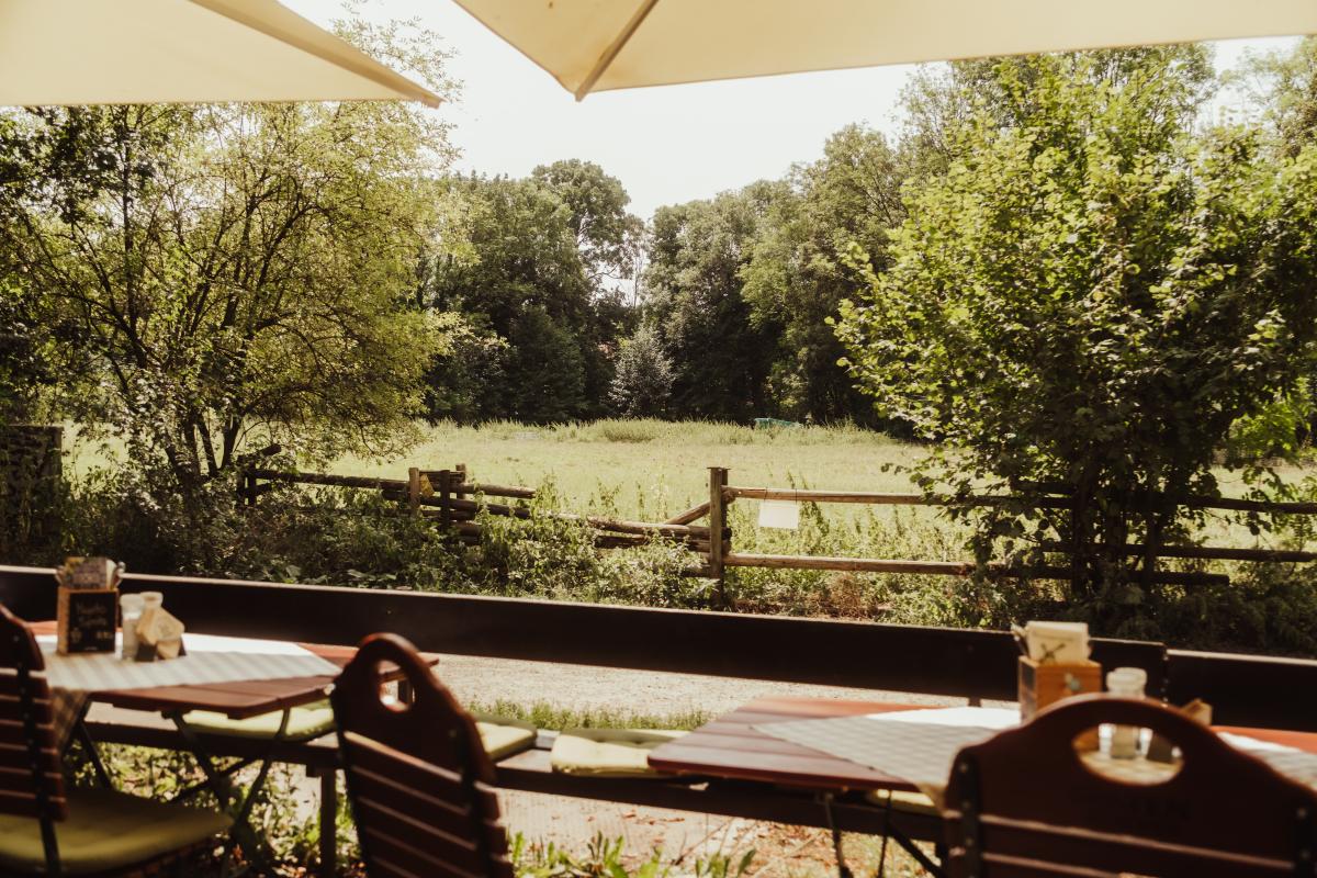 Blick vom Biergarten der Emmeramsmühle auf die angrenzende grüne Wiese und den alten Baumbestand