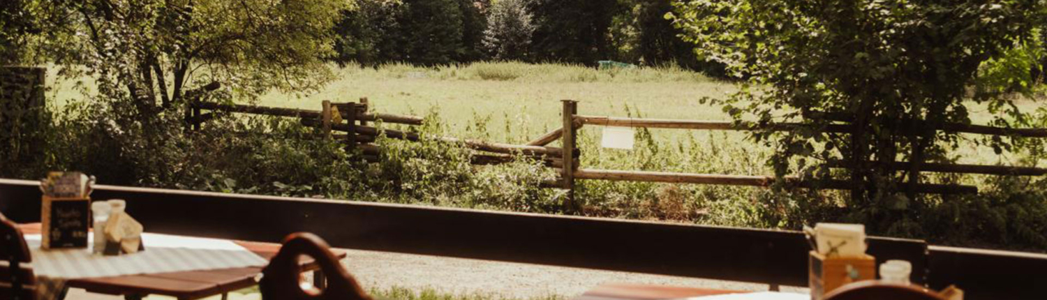 Ruhiger Biergartenplatz der Emmeramsmühle direkt an einer grünen Wiese